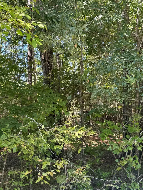 0 Caney Creek, Huntsville, TX 77320