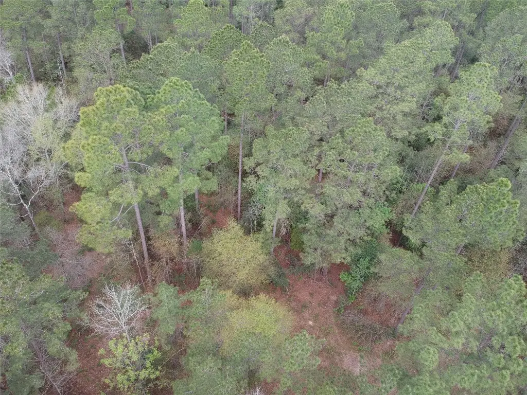 Lot 281 Lakeland Ranch Drive, Hillister, TX 77624 - #1