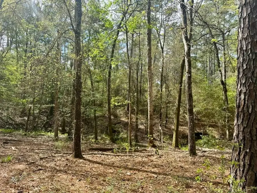 Lot 281 Lakeland Ranch Drive, Hillister, TX 77624 - #2