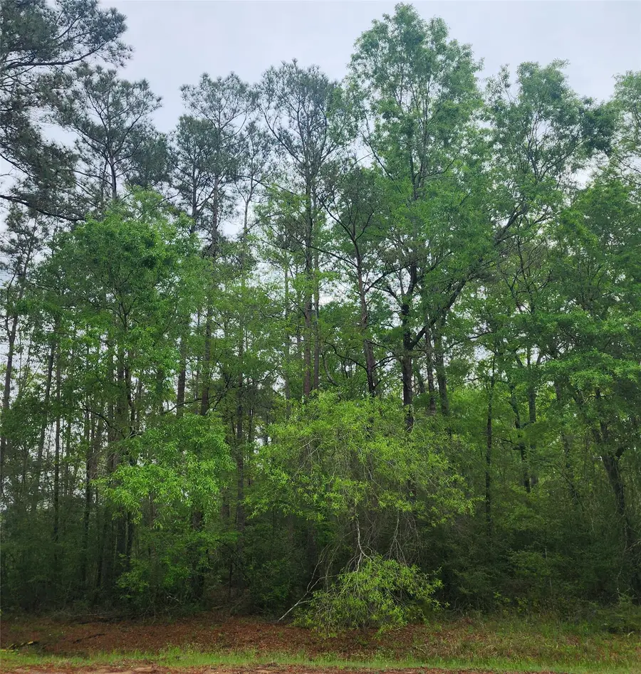 TBD Cloverdale, Livingston, TX 77351 - #2