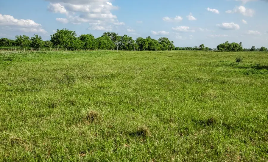 1923 Beasley West End, Beasley, TX 77417 - #3
