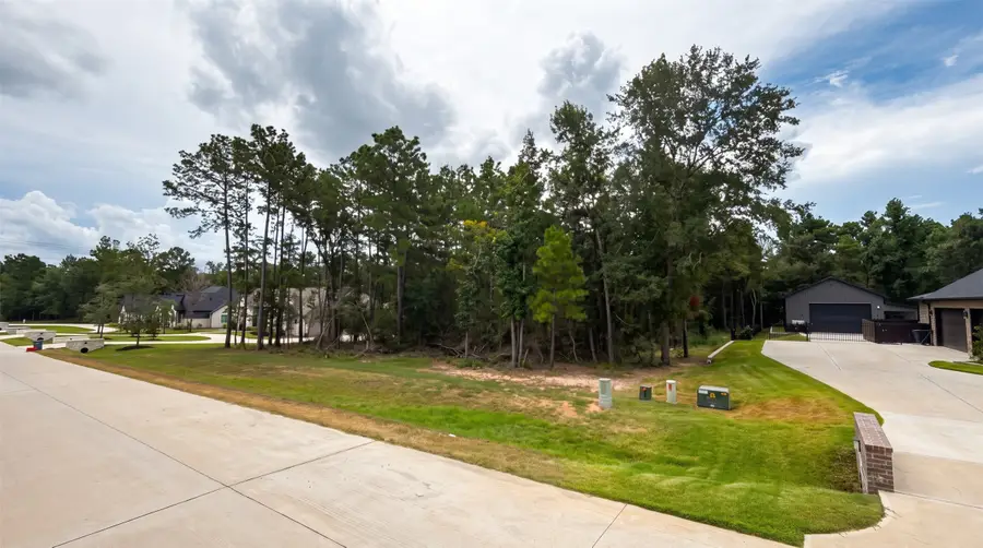 23737 Birch Grove Rd, Montgomery, TX 77316 - #2
