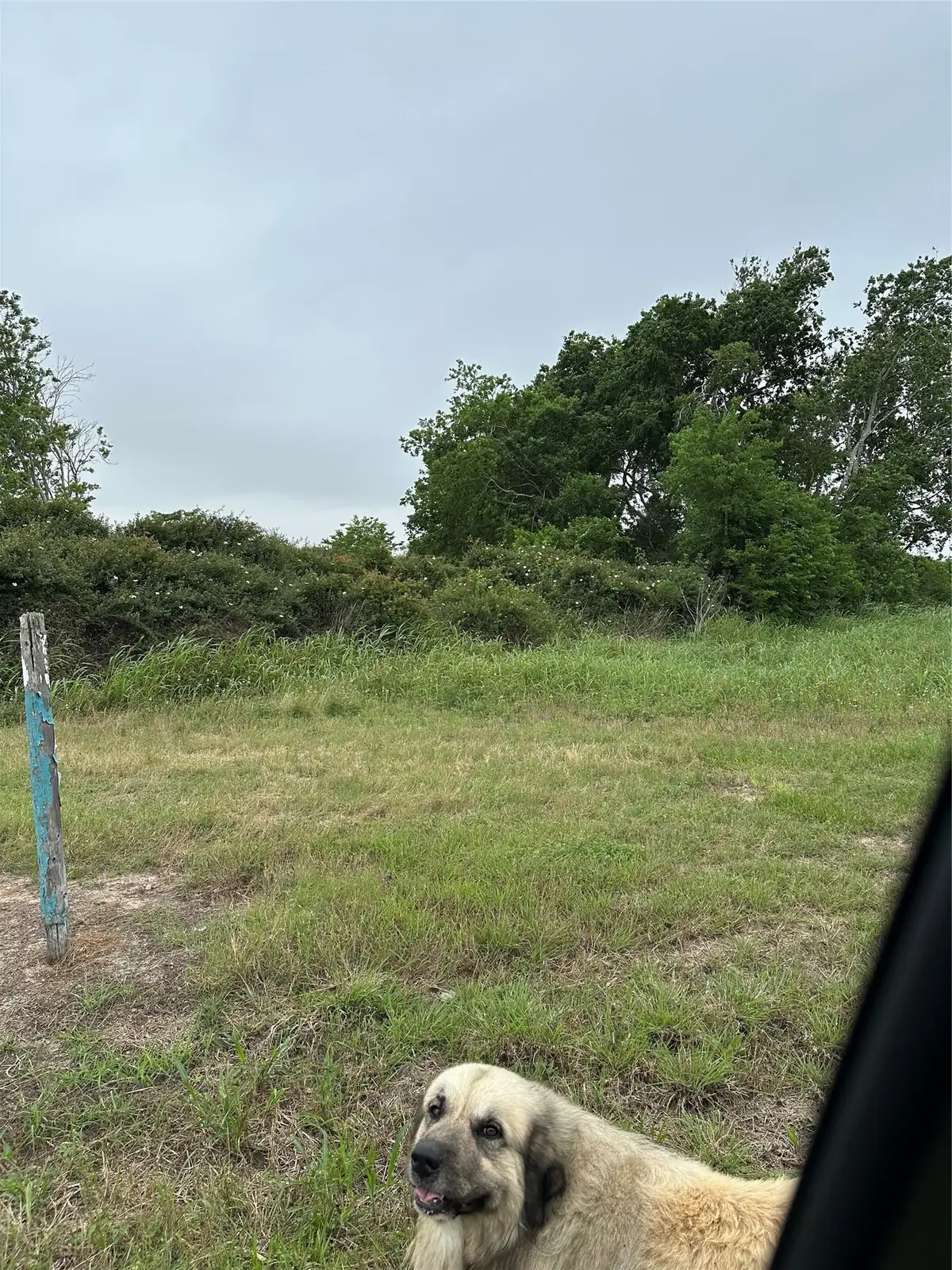 0 W County Road 465 Texaco Road, Blessing, TX 77419 - #1
