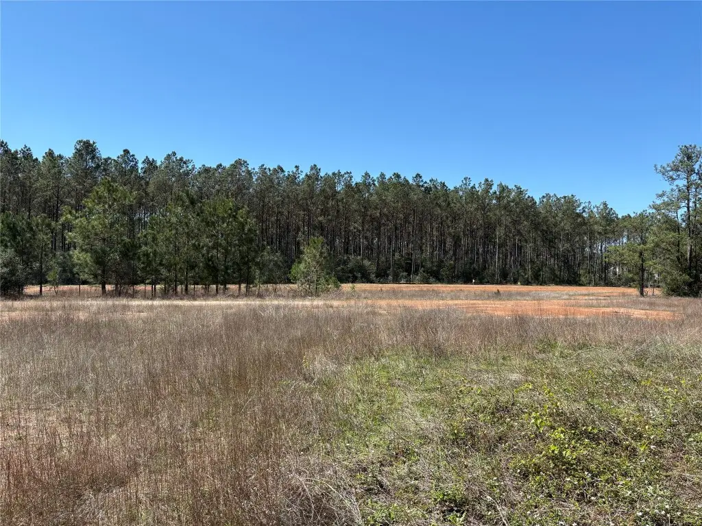 15807 Vine Veiw Court, Willis, TX 77378 - #1