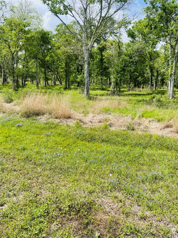 32502 Redfish Trail, Richwood, TX 77531