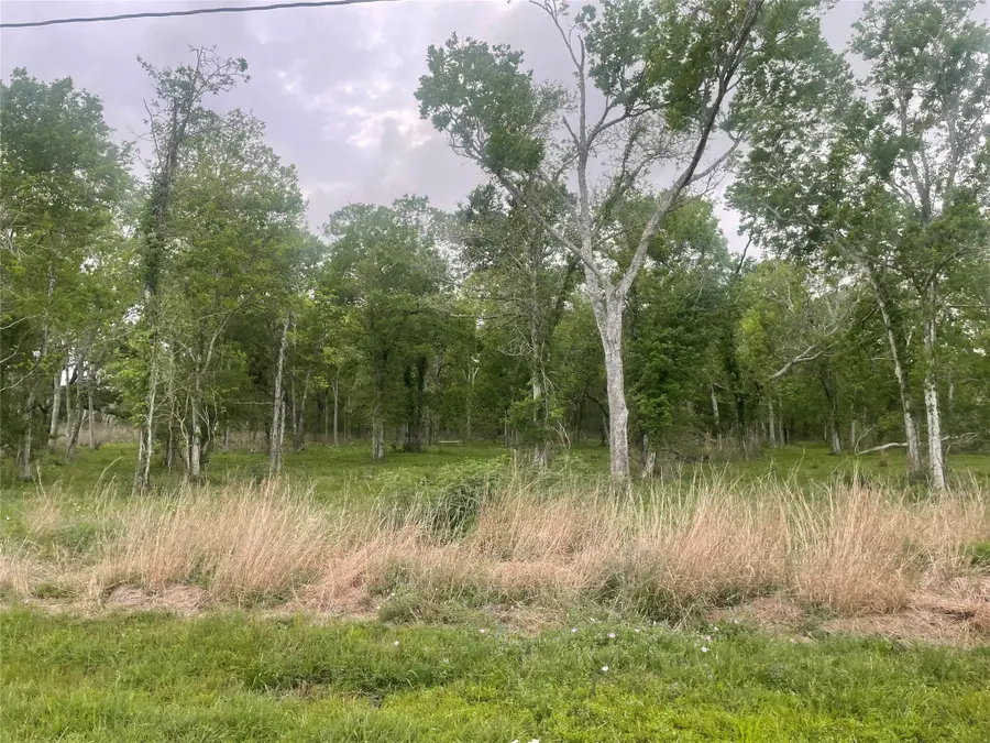 32502 Redfish Trail, Richwood, TX 77531 - #3