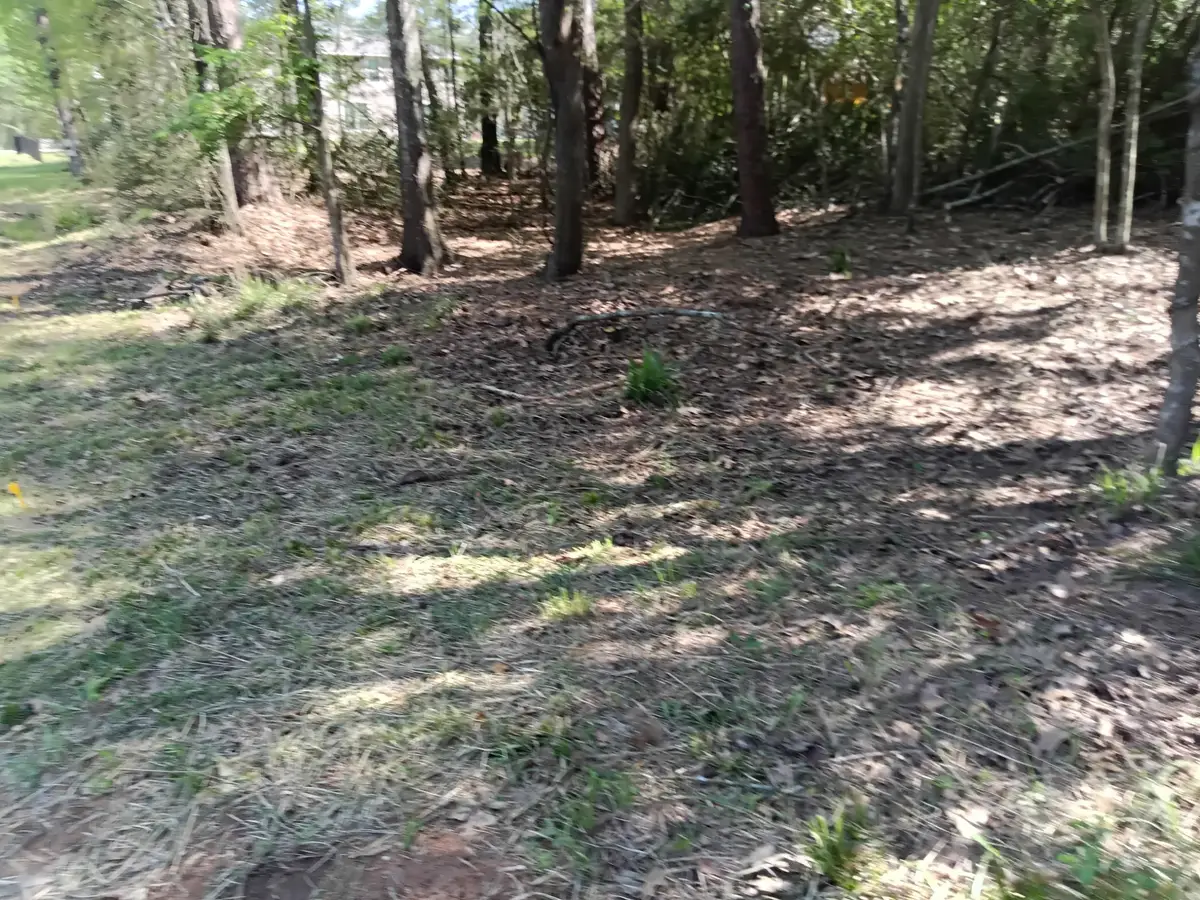 1008 White River Road, Conroe, TX 77316 - Image #1