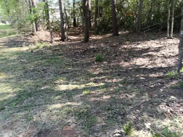 1008 White River Road, Conroe, TX 77316