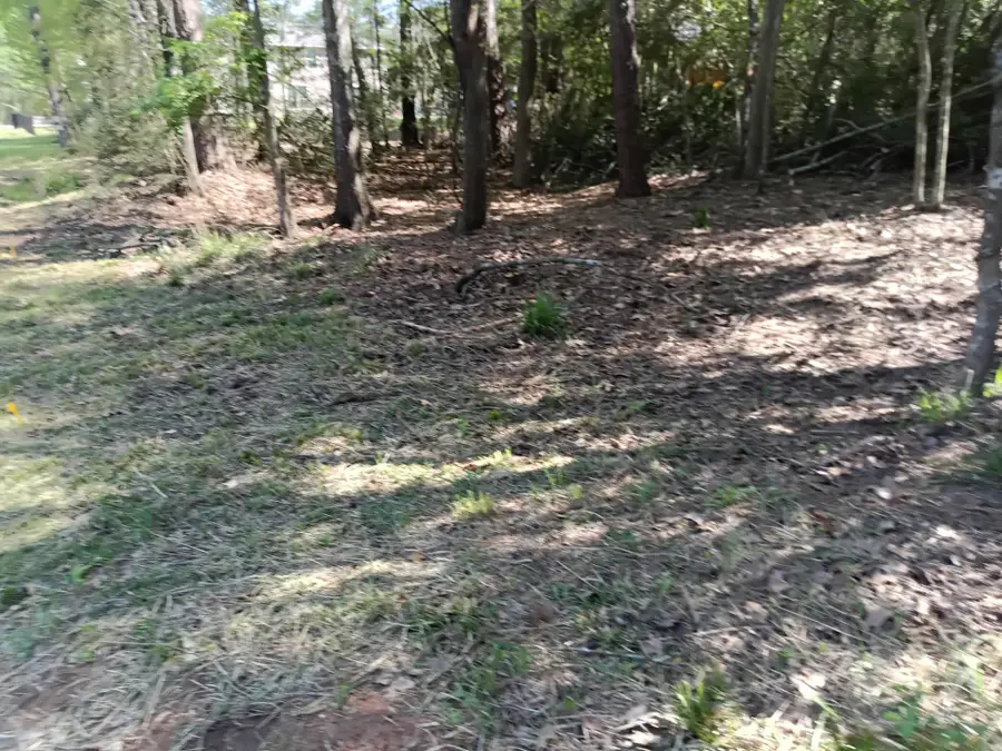 1008 White River Road, Conroe, TX 77316 - Image #3