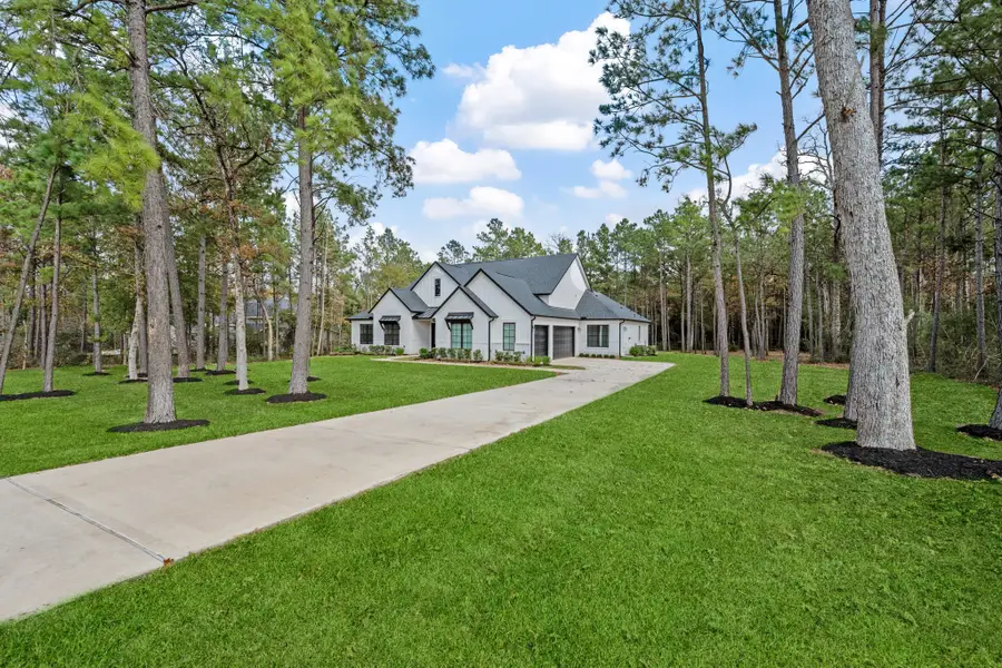 8513 Monarch Ridge Trail, Montgomery, TX 77316 - Image #2