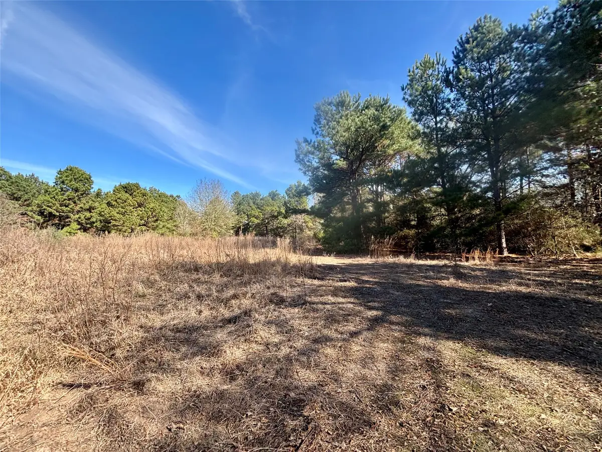 TBD Cr 300, Oakwood, TX 75855 - Image #1