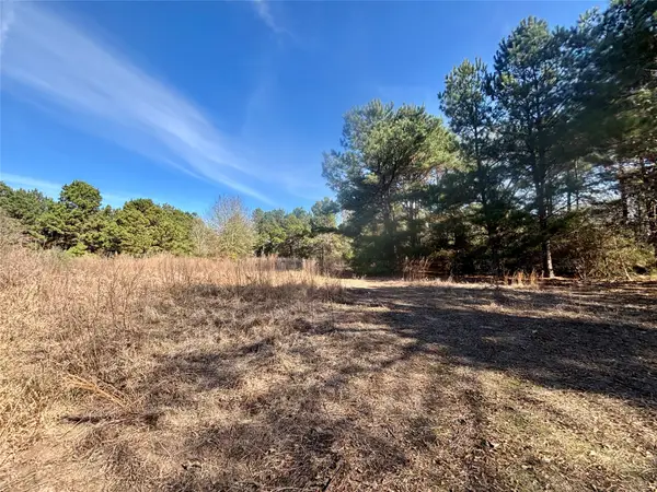 TBD Cr 300, Oakwood, TX 75855