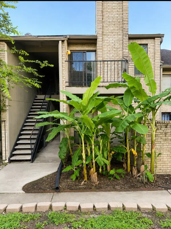 10811 Richmond Avenue #72, Houston, TX 77042