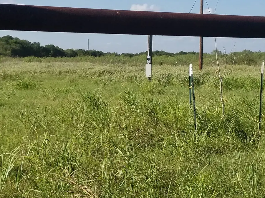 265 Lcr 722, Kosse, TX 76653 - Image #2