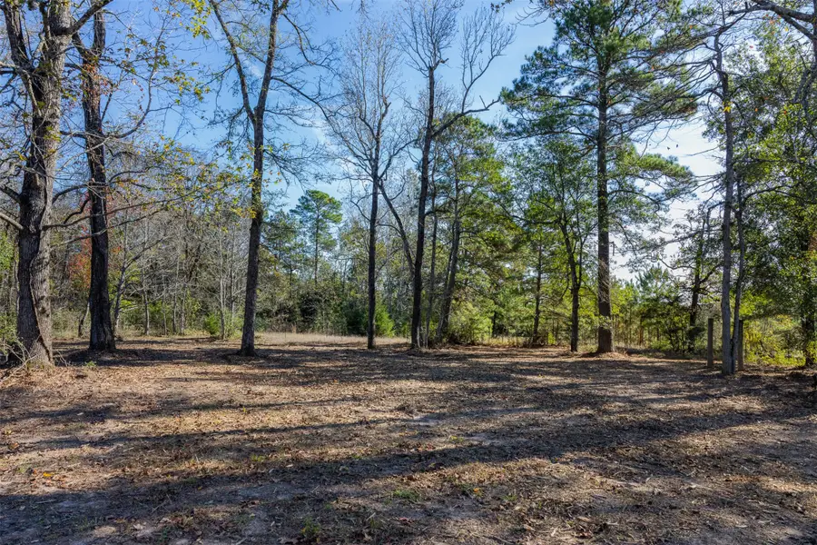 5901 Highline Drive, Montgomery, TX 77316 - Image #2