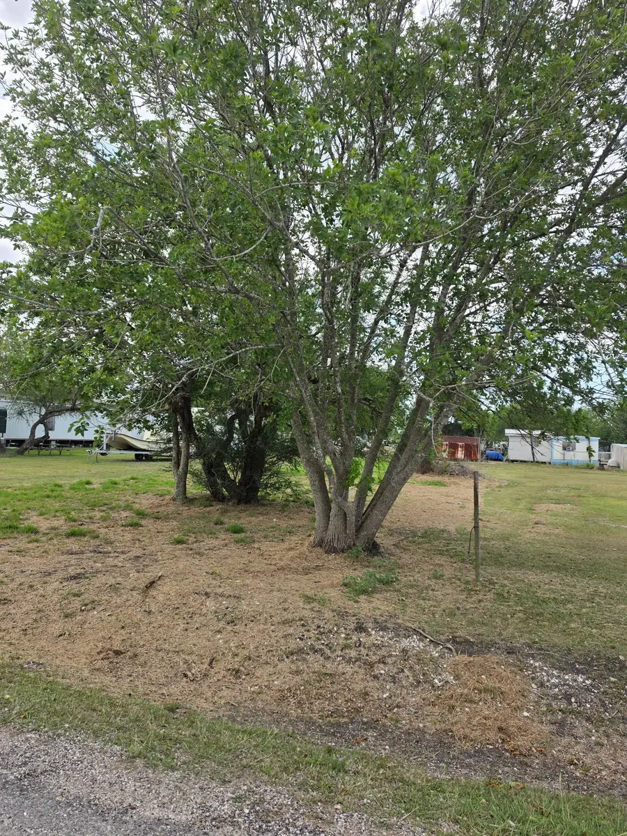 1105 W Cleveland Avenue, Seadrift, TX 77983 - #3