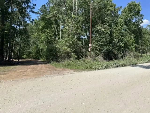 13035 Hollybrook Drive, Plantersville, TX 77363 - #1