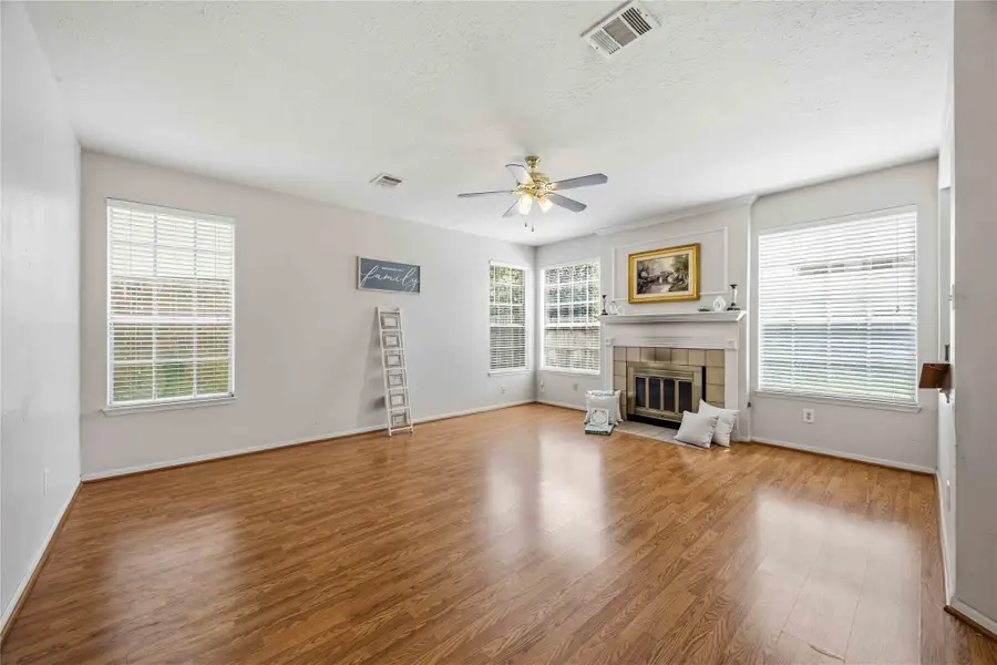 206 Scarlet Maple Drive, Sugar Land, TX 77479 - #2