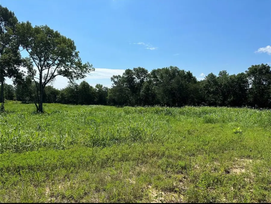 612 Worsham Street, Montgomery, TX 77316 - Image #3