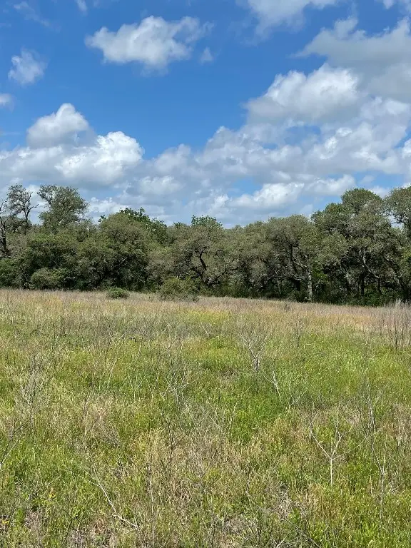 0 Pintail Lane, Columbus, TX 78934 - #3