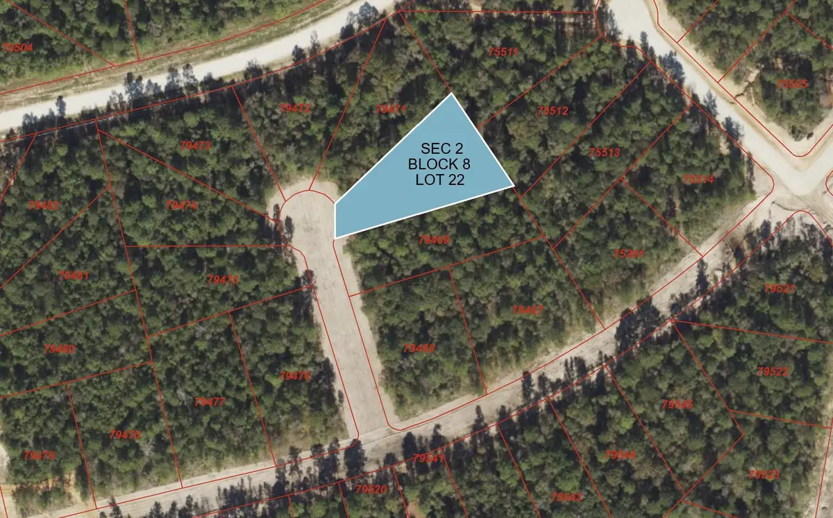 108 Romantic Dreams Court, New Waverly, TX 77358 - Image #1