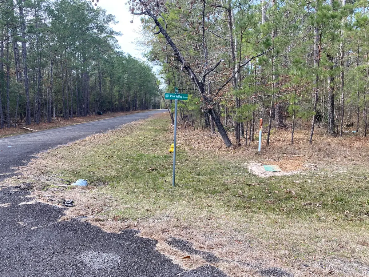 24418 Gleneagles, Huntsville, TX 77320 - Image #1