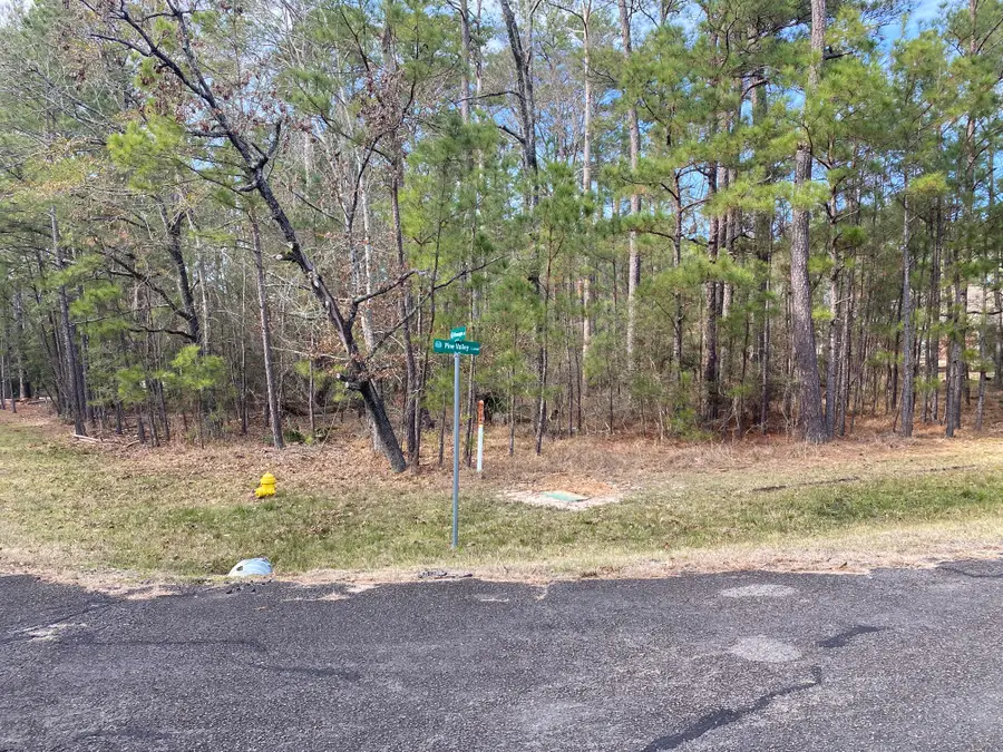 24418 Gleneagles, Huntsville, TX 77320 - Image #2