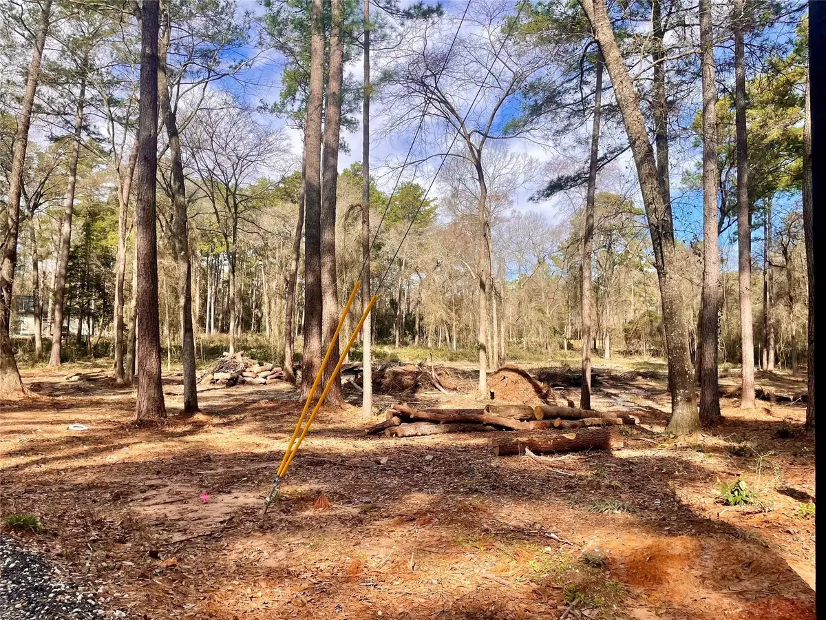 11253 Greenway Drive, Plantersville, TX 77363 - #1