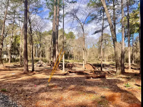 11253 Greenway Drive, Plantersville, TX 77363