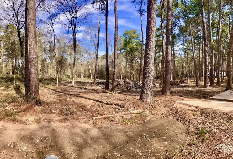 11253 Greenway Drive, Plantersville, TX 77363 - #2