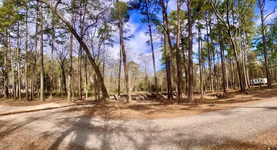 11253 Greenway Drive, Plantersville, TX 77363 - #3