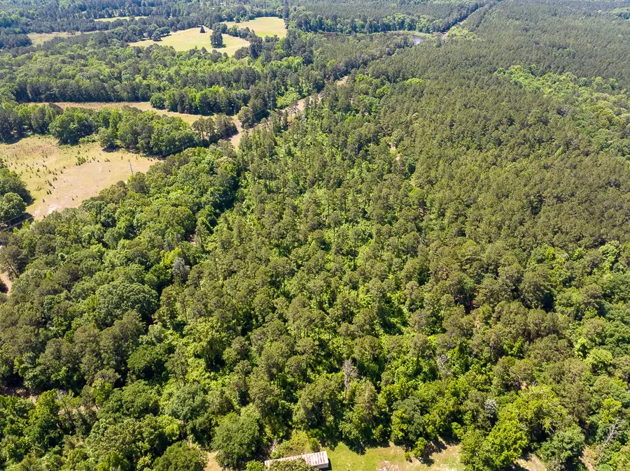 3 County Road 1115, Atlanta, TX 75551 - #3