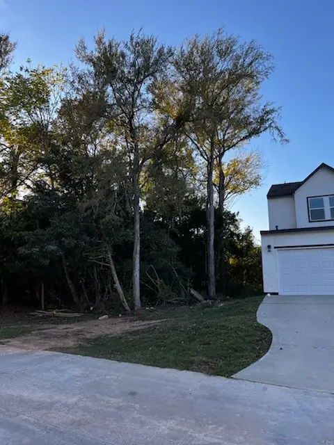 TBD Capetown, Conroe, TX 77356 - Image #2