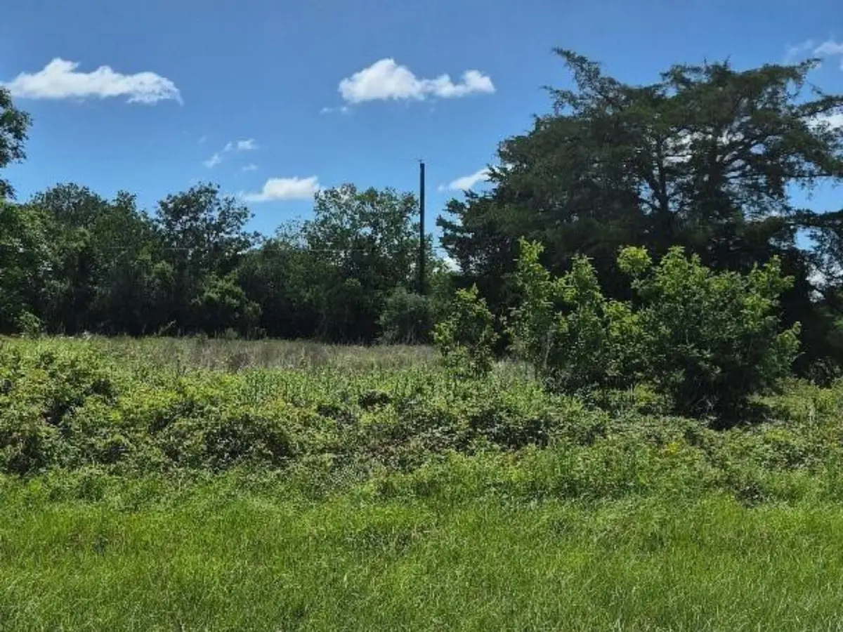Lots 1-10 BLK 418 2nd, Hempstead, TX 77445 - #1