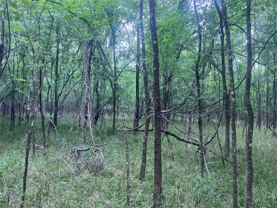 00 Wilderness Road, Point Blank, TX 77364 - #3