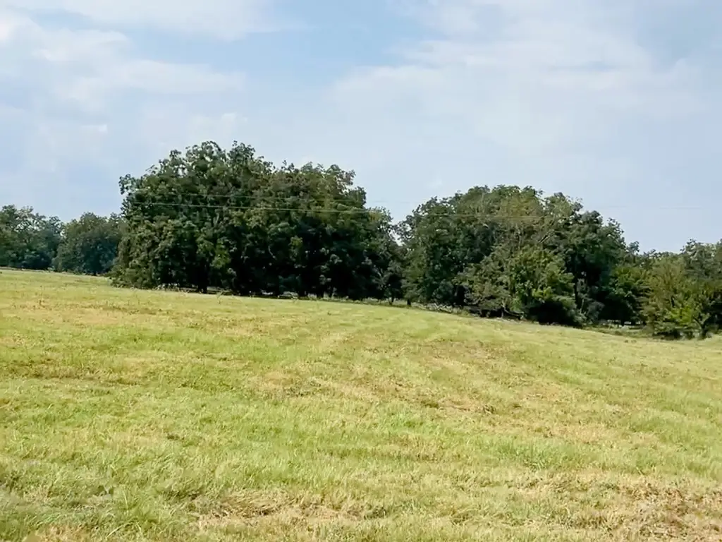 0046 Fm 2548 E, Midway, TX 75852 - #1