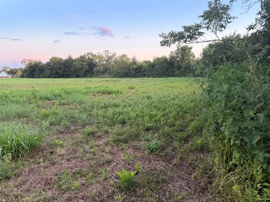 00 Fm 521, Brazoria, TX 77422 - #3