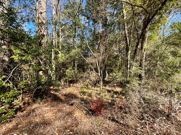 Lot 26 Buckingham Drive, Ivanhoe, TX 75979