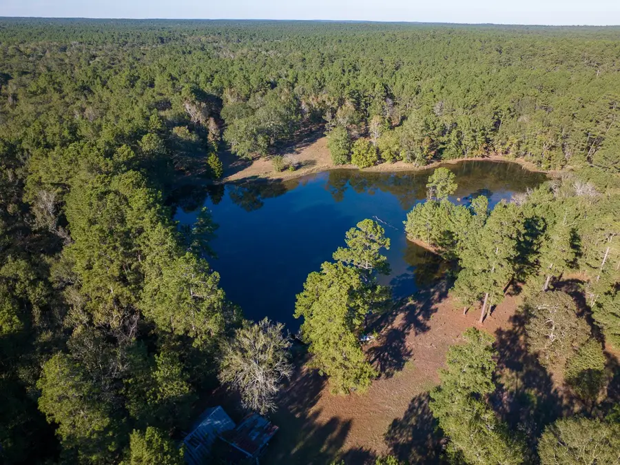 000 Off Big Woods Rd, New Waverly, TX 77358 - Image #2