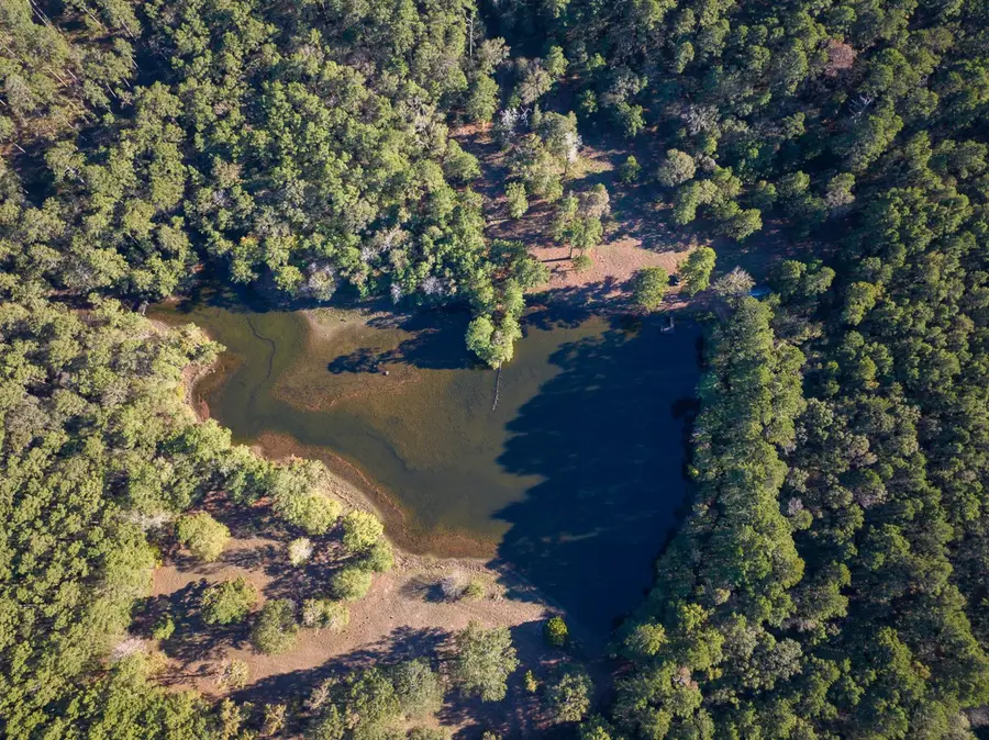 000 Off Big Woods Rd, New Waverly, TX 77358 - Image #3