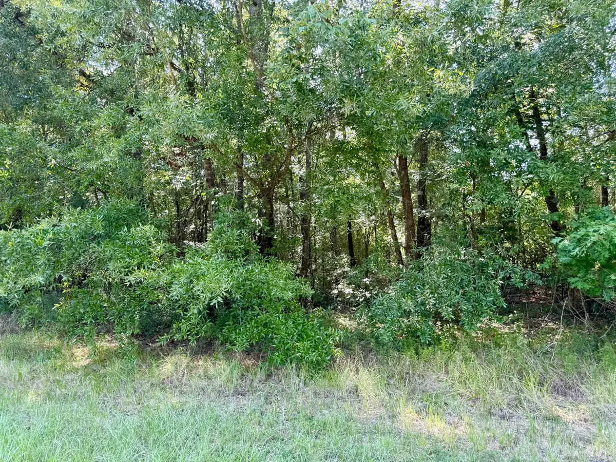 TBD Underwood, Livingston, TX 77351 - #1