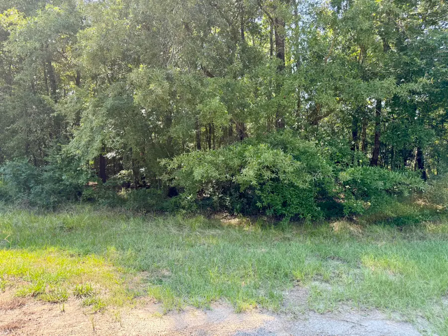 TBD Underwood, Livingston, TX 77351 - #3