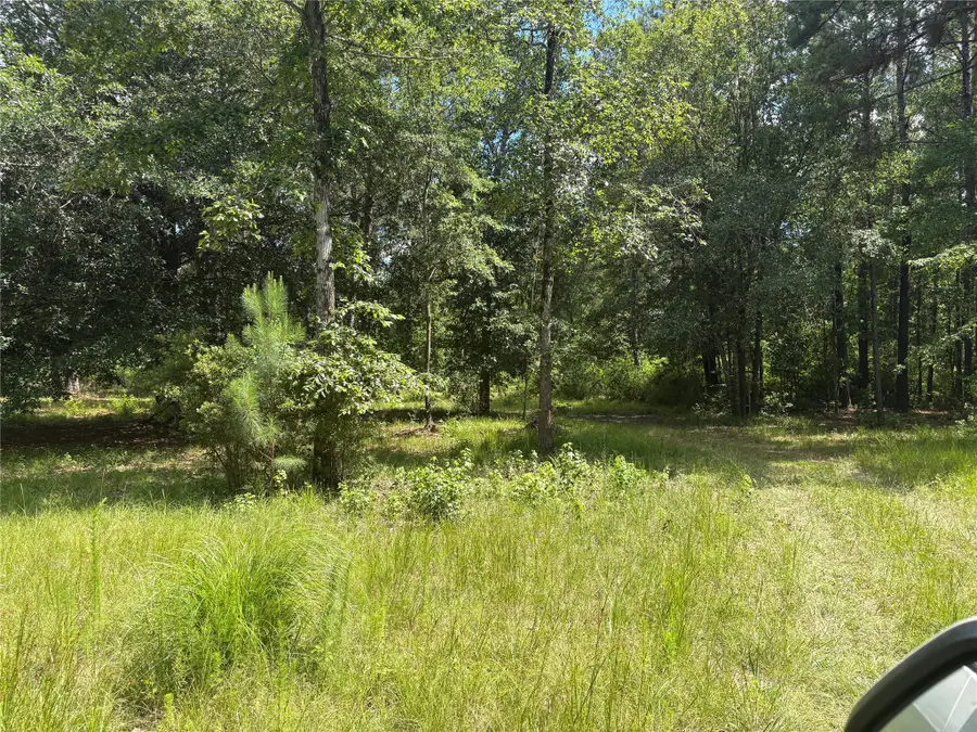 3133 County Road 4525, Warren, TX 77664 - #2