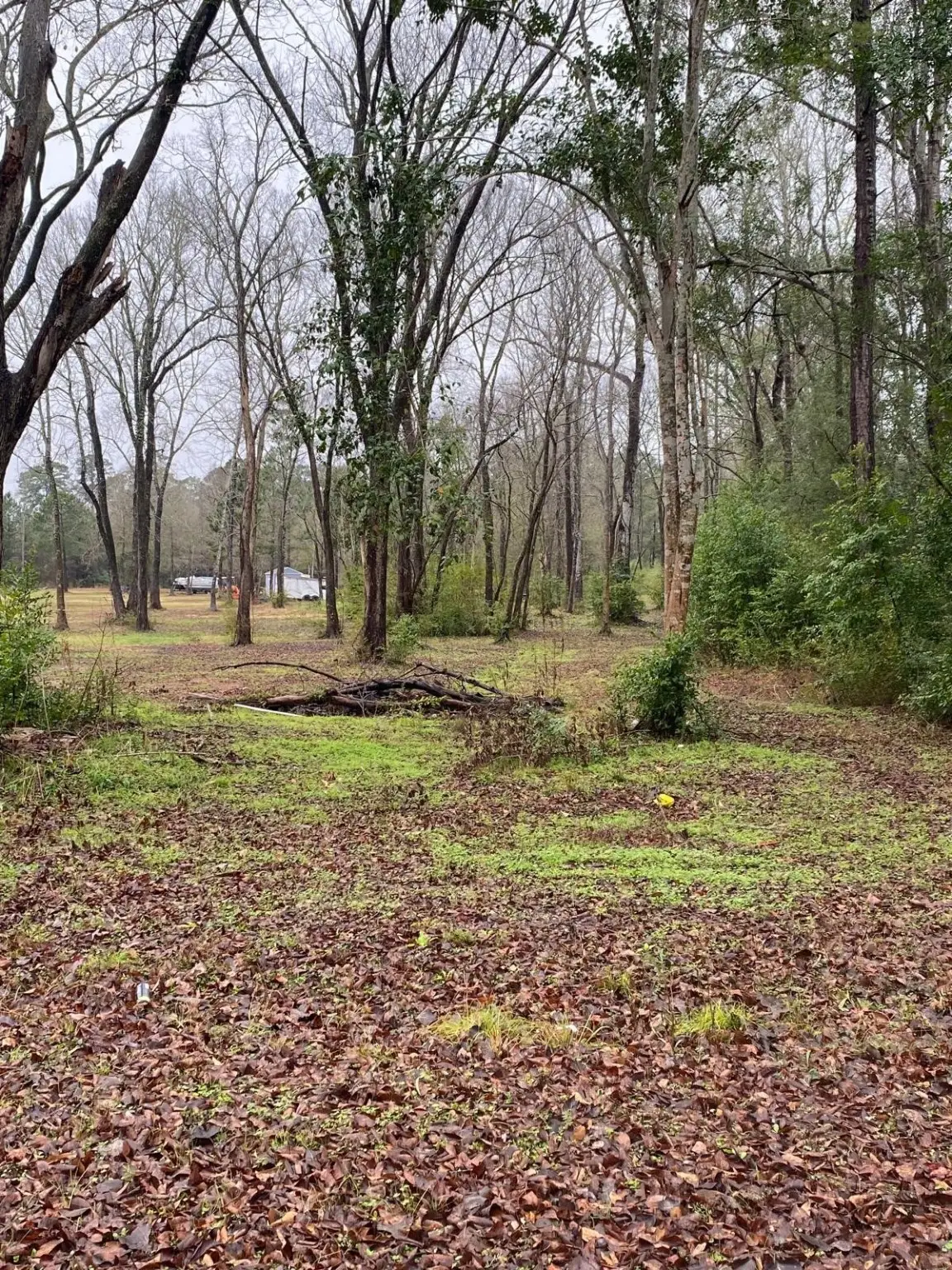 00 Cochran Street, Shepherd, TX 77371 - Image #1