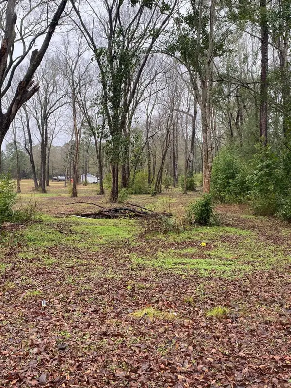 00 Cochran Street, Shepherd, TX 77371