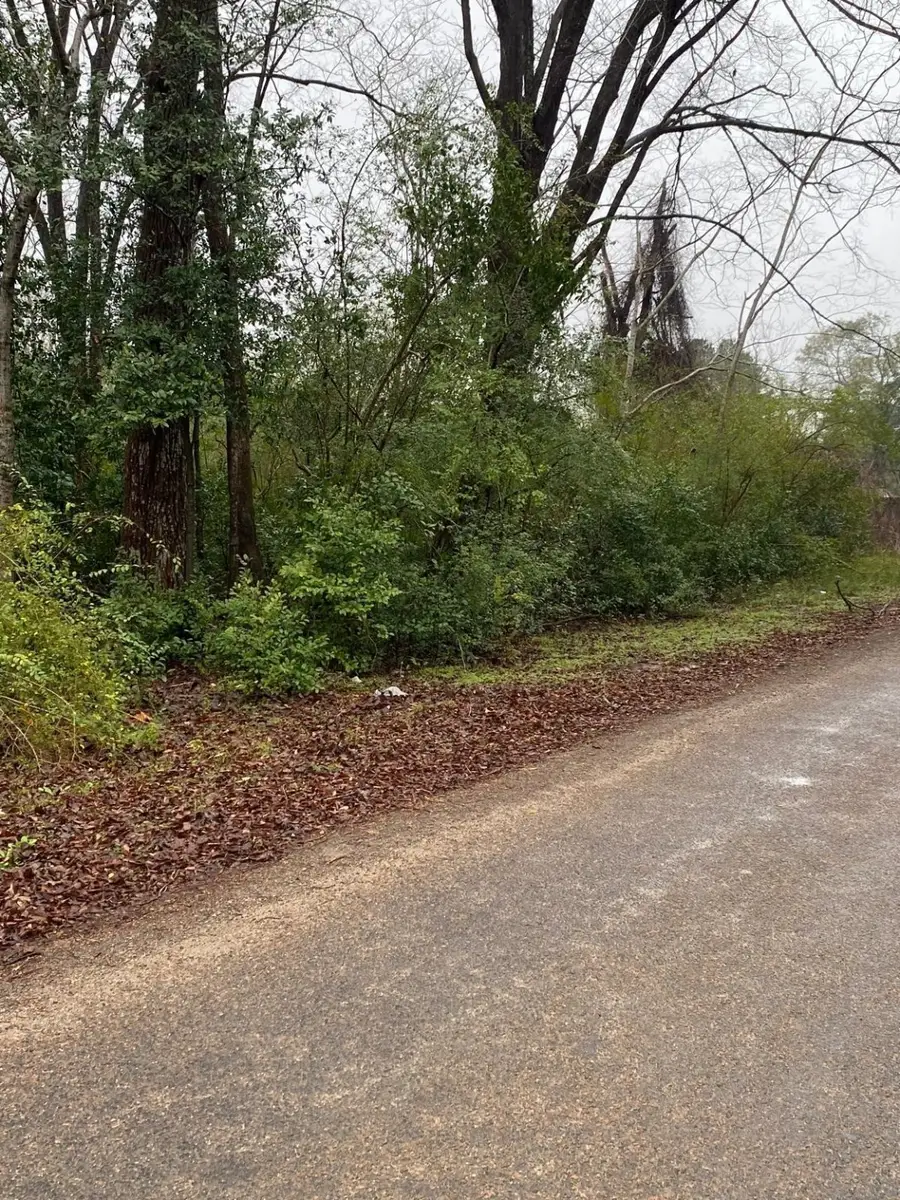 00 Cochran Street, Shepherd, TX 77371 - Image #3