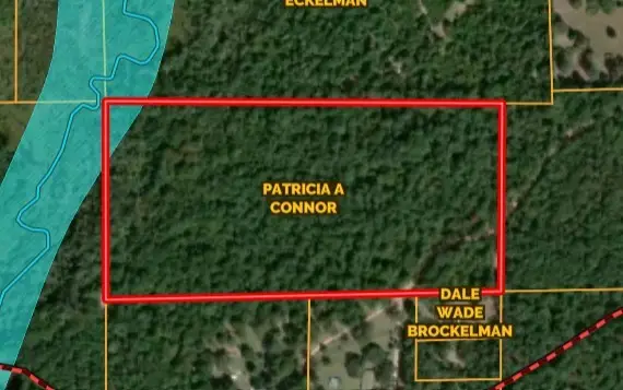 TBD Dillion Rd, Livingston, TX 77351