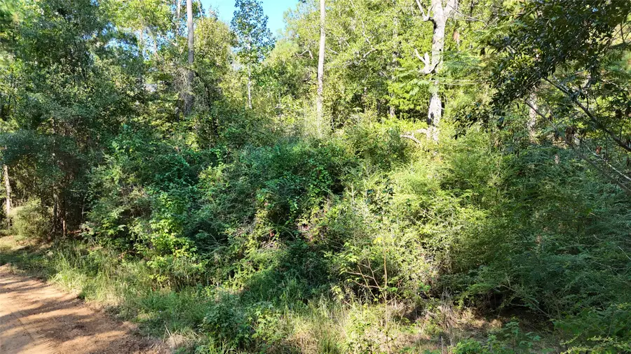 TBD Dillion Rd, Livingston, TX 77351 - #2