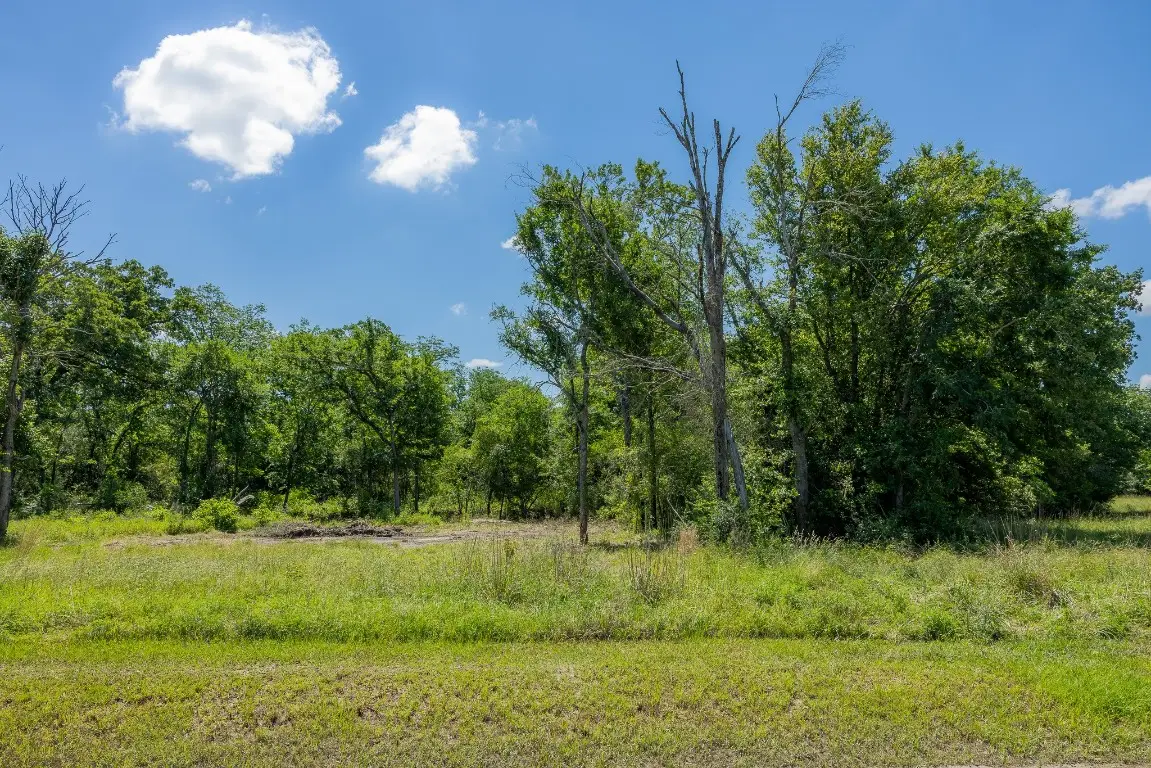 10649 Atakapan Trail, Bedias, TX 77831 - #1