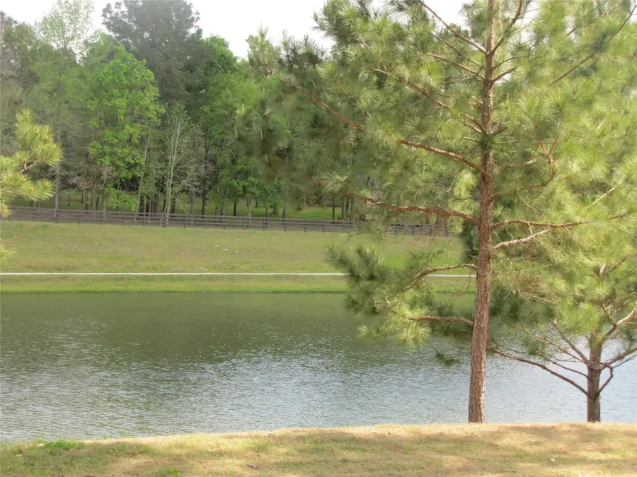 6919 Texas Trace, Montgomery, TX 77316 - #2